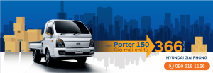 newporter 366trieu