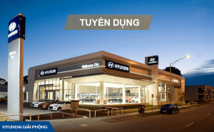 tuyen nhan vien kinh doanh hgp