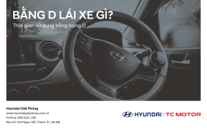 BANG d LAI XE GI 01
