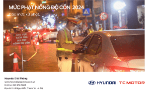 phat nong do con o to