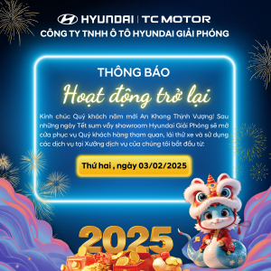 Tết Ất Tỵ (2)