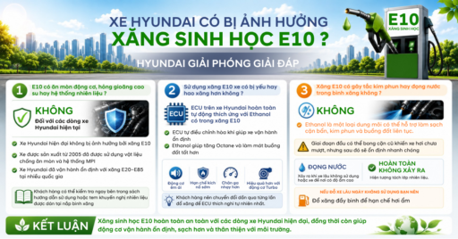 E10 XANG SINH HOC